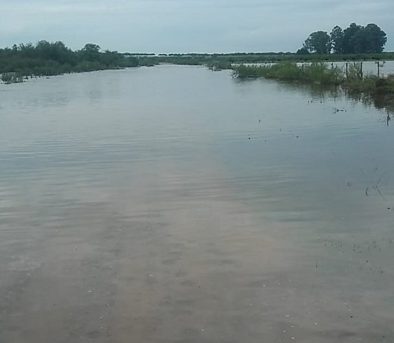 Los vecinos de Colonia Baylina solicitan una solucin urgente.