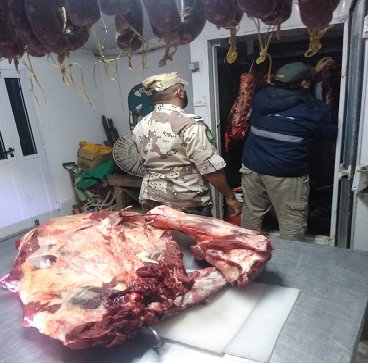 Decomisaron 300 kg de carne vacuna sin documentacin.