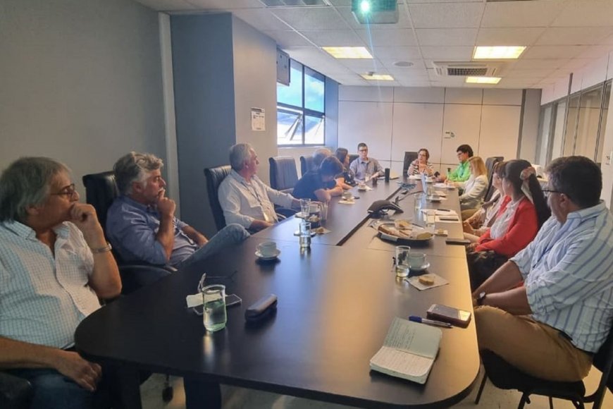 El Japons SRL,  Molino Caupolicn S.A, Paoloni y Ca. S.R.L. buscaron oportunidades en Costa Rica: 90 reuniones con 13 importadores.