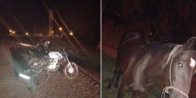 Una moto colisiono con equino en Diagonal Malarin.