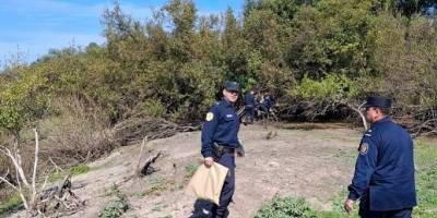 Encontraron seos en el parque El Palmar
