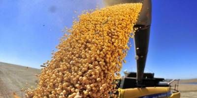 La Bolsa de Cereales adelant que la campaa de soja es rcord histrico en la provincia.