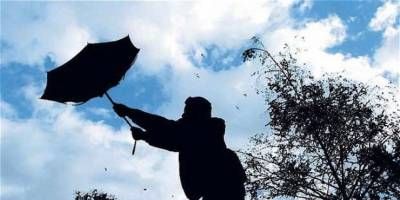 Cambi el tiempo: anuncian viento, lluvia y temperaturas mnimas de hasta 4