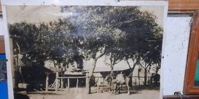 Almacn Sauer: 130 aos de memoria viva en Colonia Yeru