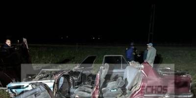 Un automvil choc un equino en ruta 18.