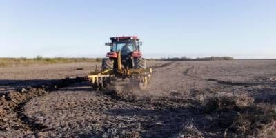 "A nivel pas, es una zona muy productivo de arroz