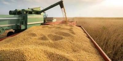  Productores entrerrianos invirtieron casi 1.202 millones de dlares para concretar la campaa agrcola 24/25