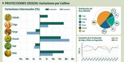 Los dos cultivos que viven un "boom" de siembra y el rcord de cosecha que espera la Argentina: el Estado recaudara US$ 12.905 millones