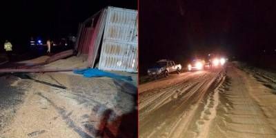 Volc un camin y esparci su carga de cereales sobre Ruta 11.