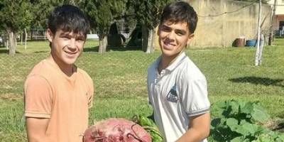Estudiantes de escuela agrotcnica de Federal cosecharon una remolacha de ms de 11 kg.