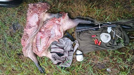 Detuvieron a dos masculinos que se trasladaban en moto con un carpincho y un arma de fuego.