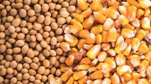 El Gobierno oficializ la baja de las retenciones para la soja, el maz, el trigo, la cebada, el sorgo y el girasol.