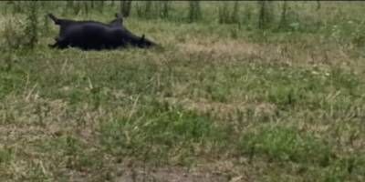 Convocaron a Roncaglia por la inseguridad en la zona rural de Villaguay.