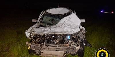 Una camioneta colision con un equino.