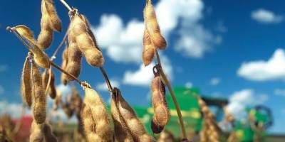 Anunciaron una nueva reducci�n a las retenciones para la exportaci�n de granos 