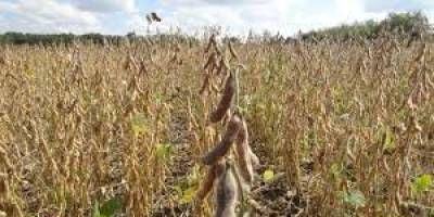 El verano 2025/26 se perfila con una �Ni�a d�bil� y alertas clim�ticas.