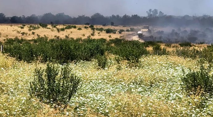 La sequ�a pega fuerte en el sur entrerriano y genera preocupaci�n por la ca�da de los rindes de ma�z y soja.