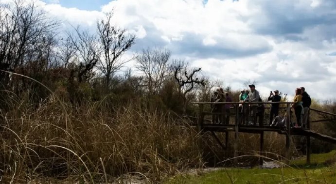 Un turista muri� tras haber sido picado por abejas en un pajonal del departamento Uruguay 