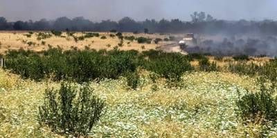 La sequ�a pega fuerte en el sur entrerriano y genera preocupaci�n por la ca�da de los rindes de ma�z y soja.