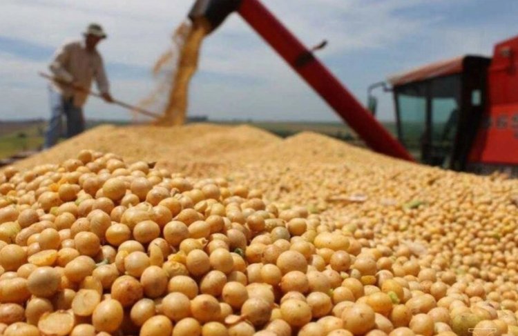 Las exportaciones entrerrianas crecieron casi 30% en 2025