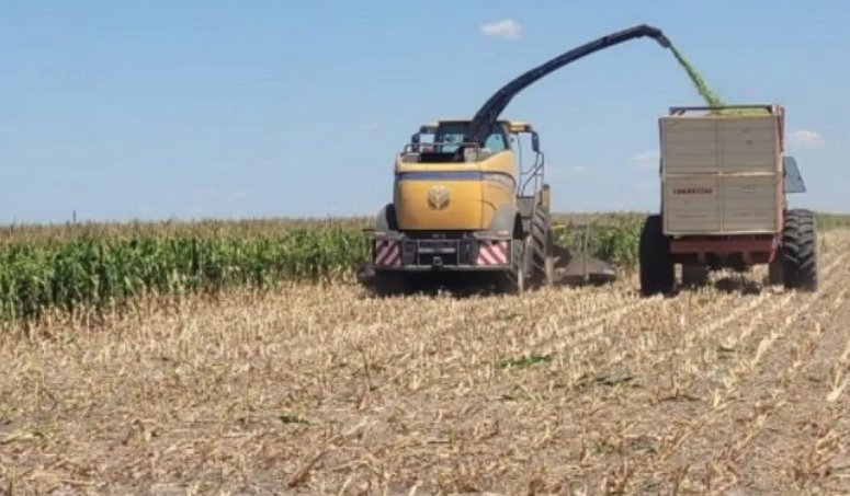 Con incentivo de pol�ticas p�blicas sostenibles, Entre R�os se encamina a una muy buena campa�a maicera