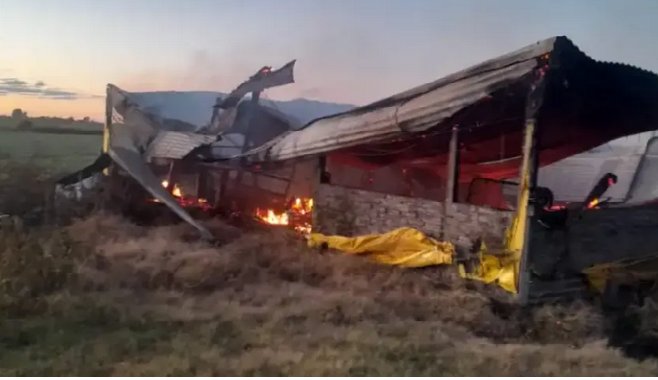 Murieron 500 cerdos tras el incendio de un criadero 