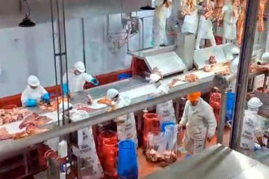 En Col�n ponen en marcha una planta de procesamiento de carne vacuna con capacidad para producir 200 medias reses diarias