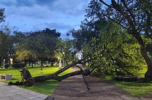 Fuerte temporal causó daños en distintas zona de San Salvador.
