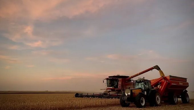 El Estado se queda con el 82,6% de la renta sojera en un campo alquilado mientras el productor pierde plata