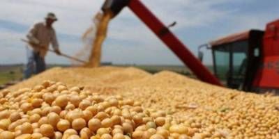 Las exportaciones entrerrianas crecieron casi 30% en 2025