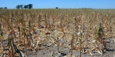 Por la sequ�a, ajustan las previsiones de ingresos de d�lares del campo 