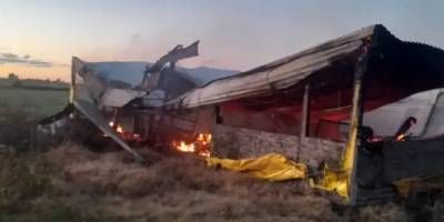 Murieron 500 cerdos tras el incendio de un criadero 