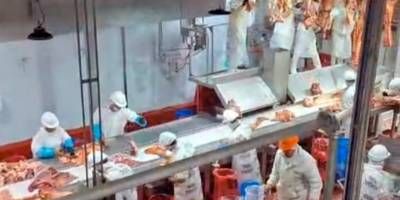 En Col�n ponen en marcha una planta de procesamiento de carne vacuna con capacidad para producir 200 medias reses diarias