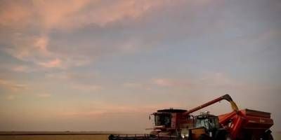 El Estado se queda con el 82,6% de la renta sojera en un campo alquilado mientras el productor pierde plata 