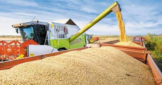 Desarrollo económico: Entre Ríos es la segunda provincia del país donde más crecieron las exportaciones 