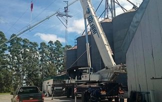 La Cooperativa Arroceros de Villa Elisa apuesta a la innovación y moderniza su planta industrial.