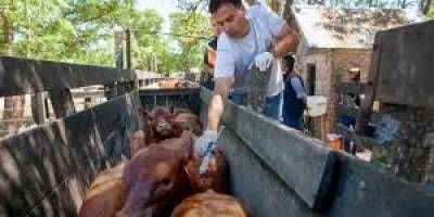 La F.A.de Entre Ríos rechazó los cambios en el sistema de vacunación antiaftosa anunciados por Senasa