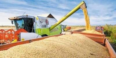 Desarrollo económico: Entre Ríos es la segunda provincia del país donde más crecieron las exportaciones 