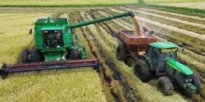 Dificultades con la transitabilidad de los caminos rurales para la cosecha de arroz.