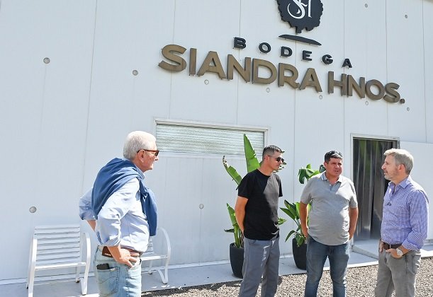 Se declaró emergencia agropecuaria para productores citrícolas afectados en la zona de La Criolla