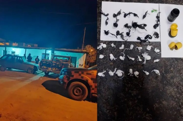 Incautaron cocaína, marihuana, efectivo y detuvieron a un sospechoso en un procedimiento en Villaguay.