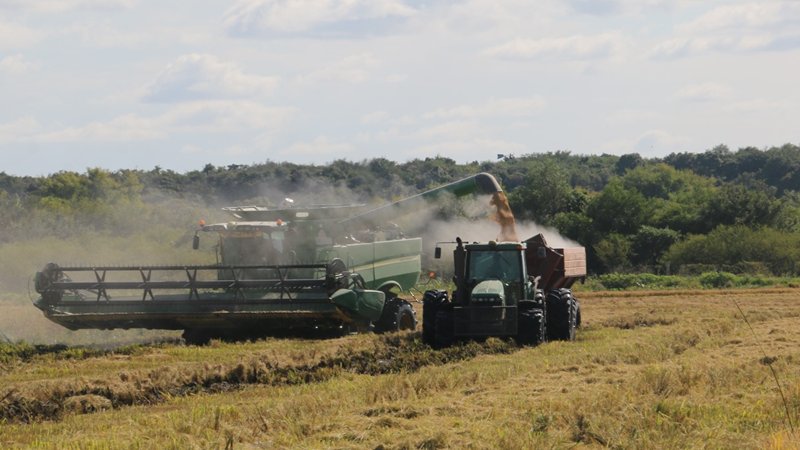  La Filial San Salvador de FAA alerta sobre la crítica situación del sector arrocero.