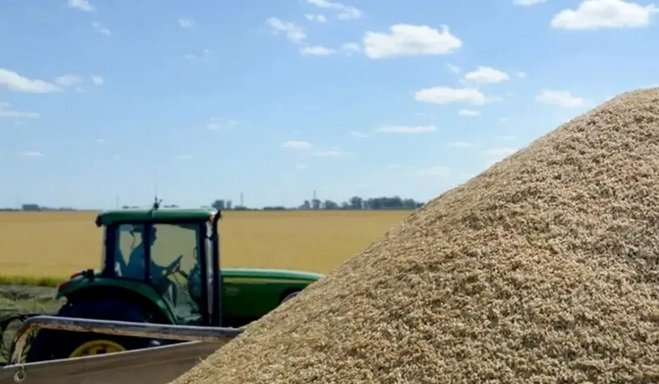 Rebelión en las arroceras: cese de comercialización por tiempo indeterminado de arroz cáscara.