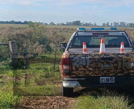 Hallaron los animales denunciados como robados en un monte y malezas en Gral. Campos.