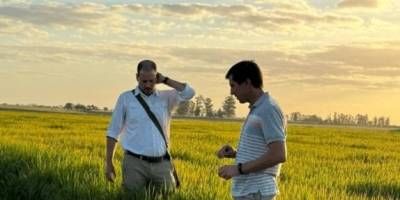 Crisis en el sector arrocero, aumento en el combustible, en los fertilizantes, agravado por la caída en las exportaciones.