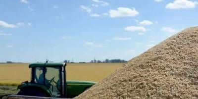 Rebelión en las arroceras: cese de comercialización por tiempo indeterminado de arroz cáscara.