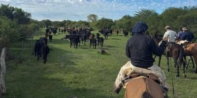 Recuperaron 40 animales robados en Lucas Norte.