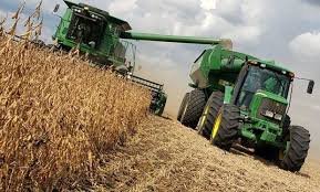 La Bolsa de Cereales señaló que caería un 16% la producción de soja en Entre Ríos.