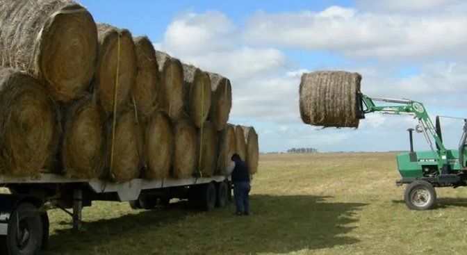 Un trabajador rural falleció tras ser aplastado por un rollo de alfalfa.