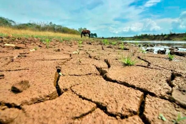¡Viene un El Niño poderoso! Investigadores dicen que el fenómeno podría añadir presión a un sistema mundial precario.